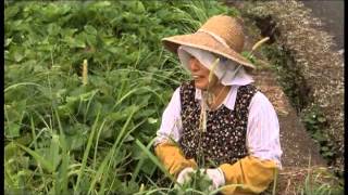 Lure of Tranqility, OITA 08 CM (OITA Tourism movie)