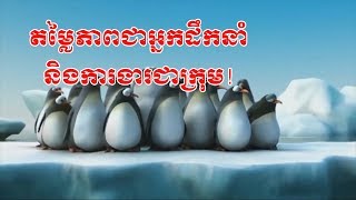 តម្លៃភាពជាអ្នកដឹកនាំ និងការងារជាក្រុម, Leadership and Team work.