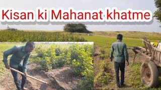 Live Kisan life vlogs.  Kisan ki Mahanat khatme. #kisansafar