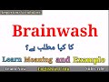 Brainwash Meaning