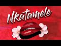 Stephen Ramakatsa - Nkatamele (Official Audio) ft Prince Dumane