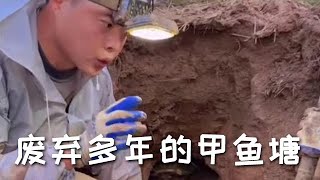 【戶外捕魚VLOG】花200塊前包下一個廢棄多年的甲魚塘，沒想到裏面竟然有這種狠貨#三農 #農村生活