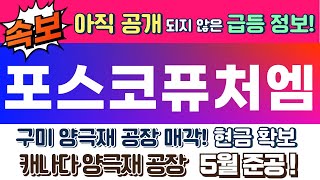 [포스코퓨처엠 긴급속보 주가전망] 바닥에서 급등하는 이유, 2차전지 급락은 그만. 트럼프 2차전지 정책은?