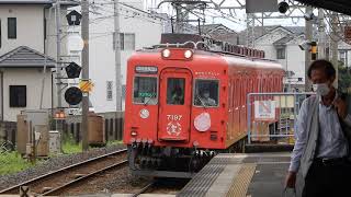 南海加太さかな線・南海本線　紀ノ川駅2番ホームに7100系普通　めでたいでんしゃ「なな」が到着