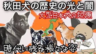 秋田犬の歴史の光と闇〜大型日本犬の誕生秘話〜時代に残る姿を探る