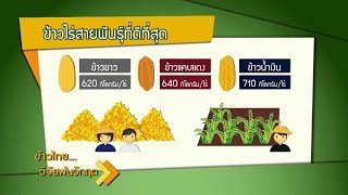 ข้าวไทย วิจัยพ้นวิกฤต ตอนที่ 7 ข้าวไร่ เพื่อเกษตรกรไทยบนพื้นที่สูง