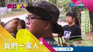 江西姑娘來台生活當牧羊人 和丈夫一同'與羊共舞\