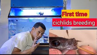 CICHLID FISH FARMING A-Z FULL GUIDE IN HINDI | CICHLID FISH BREEDING | raja ae 104