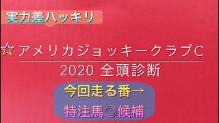 【競馬予想】　アメリカジョッキークラブカップ　2020 事前予想　全頭診断