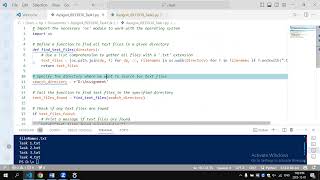 Python Script Explanation: Searching for Specific Files in a Directory