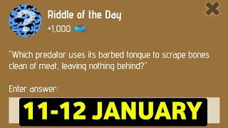 Riddle Of The Day Zoo 11-12 January | Zoo Riddle Of The Day Code | Riddle Of The Day Zoo