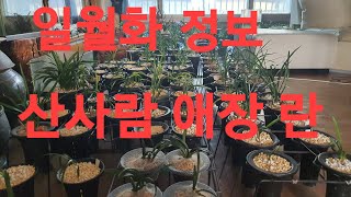 식테크,(일월화특급정보),빌라에서 산사람 키우는 애장란들 즐감하세요~