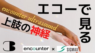 encounter　US　第31回 投球障害とも関連深い尺骨神経