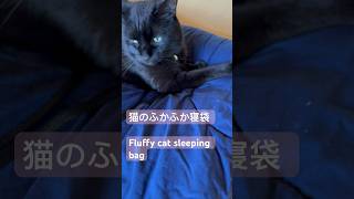 猫のふかふか寝袋❤️畳んだ上に！にゃんこ