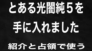 【サマナーズウォー】5体目光闇純5降臨したので紹介と占領