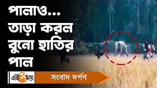 Elephant: পালাও... তাড়া করল বুনো হাতির পাল | wild animal | Ei Samay