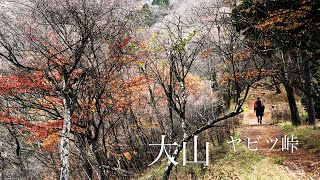 Silent Hiking Mt. Oo-yama Tanzawa Aria from Yabitsu pass car park and Bus stop.