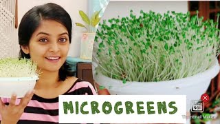 How to grow microgreens/diy/ആരോഗ്യകരമായ ഭക്ഷണം/ microgreens in malayalam/grow ur own/indoor plants