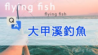 大甲溪釣魚的問題請教