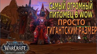 ГИГАНТСКИЙ ПИТОМЕЦ В WOW, ОН ПРОСТО ГРОМАДНЕЙШИЙ