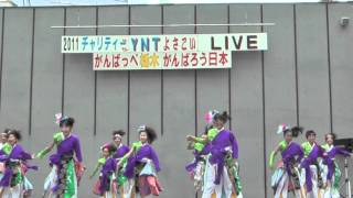 2011 ＹＮＴよさこいＬＩＶＥ（蔵っきぃず）－Acid A Girl