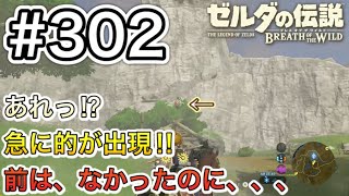 【#302】東ハテール地方のコログ取りこぼし回収の旅⑥ ハテノ馬術訓練場跡編(2)[ゼルダの伝説 ブレスオブザワイルド]