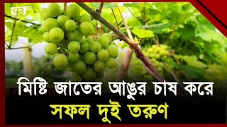 ফরিদপুরে আঙুর চাষ করে সফল দুই তরুণ | Faridpur | Ekattor TV