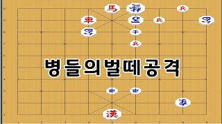 병들에게 시달려서 궁이 살지를 못합니다 - 장기박보