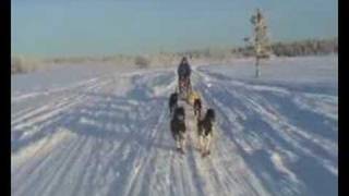 Porttikoski Kennel