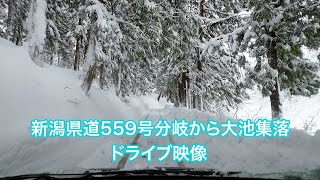 ドライブ映像　新潟県十日町市大池（新潟県道559号からの分岐後）　《『室井慎次 敗れざる者』\u0026 『室井慎次 生き続ける者』》#ロケ地巡り #snow