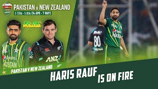 Haris Rauf Snaps Up 4️⃣ Wickets Again! | Pakistan vs New Zealand | 2nd T20I 2023 | PCB | M2B2T