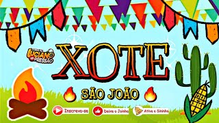 AS MELHORES DO XOTE 🔥 SÃO JOÃO 🔥 @ovaqueirodjluciano23 #xote #festajunina #saojoao