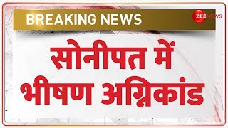 Breaking News: सोनीपत में भीषण अग्निकांड | Sonipat Factory Fire | Hindi News | Latest News