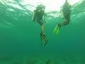 camotes islands diving the wall off tulang diot