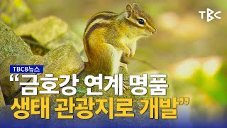 “팔공산, 생태 관광지로” 230612ㅣTBC뉴스