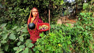 simple village life \u0026 village vegetables