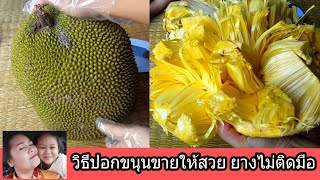 วิธีปอกขนุน ผ่าขนุน แบบมืออาชีพ by แม่หงษ์ | แม่น้อง เดียร์ channel