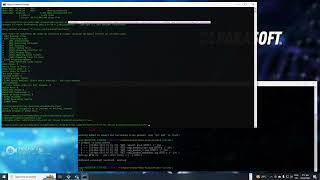 Parasoft C/C++test in DOS Command Line