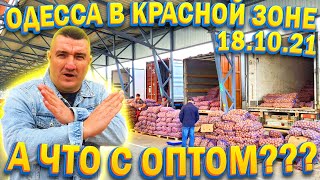 #40 Одесса в Красной ЗОНЕ 18.10.2021 Рынок Початок / Обзор оптовых цен на овощи и фрукты Рынок UA