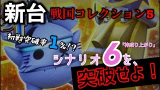 【戦コレ5】ギャン中を狂わせる一か八か、否、1%か0%かのシナリオ神成り上がり【シナリオ6】#スロット #戦国コレクション #新台 #純増 #10枚 #爆裂 #完走