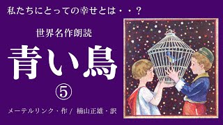 アナウンサー名作朗読「青い鳥」⑤メーテルリンク/ 楠山正雄 訳〜おやすみ前・睡眠・作業用BGM・本好きにもおすすめ【アナウンサーしまえりこ】