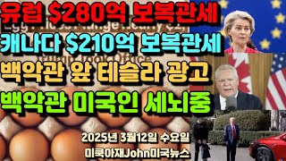 유럽 미국 $280억 보복 관세! 캐나다 트럼프 $210억 보복관세! 럼프형 백악관 앞에서 일론 머스크 테슬라 광고! 미국인 세뇌중인 정부! 계란 가격 $2로 안정! 미 주식시장