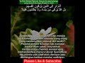 Surah An Nisa terjemah | 4:49 |Terjemahan Quran |Bacaan Al-Quran #qurantranslation #quran