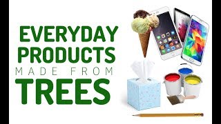 You Won't Believe THESE Products Are Made from Trees | Georgia Forests