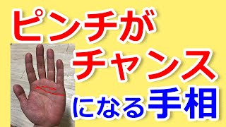 【手相占い】ピンチを乗り越えてチャンスがやってくる幸運手相【手相鑑定 vol.164】