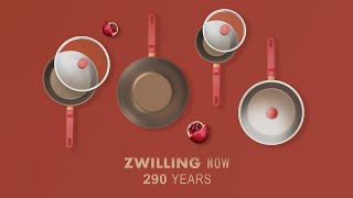 【ZWILLING 德國雙人】 Now「290週年小紅鍋」─注意事項