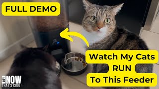 Watch my cats RUN to this PAPIFEED Automatic Cat Feeder - FULL DEMO