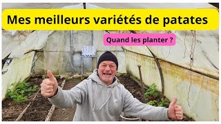 Quelle variété de pomme de terre allez-vous mettre dans votre jardin? Quand les planter ?