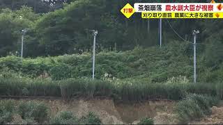 地滑りで茶園が崩落　農林水産副大臣が台風の農業被害を視察　静岡・袋井市