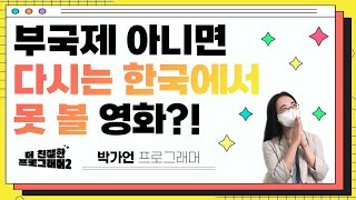 [더 친절한 프로그래머2] 부국제 아니면 다시는 못 볼 영화?! | 박가언 프로그래머